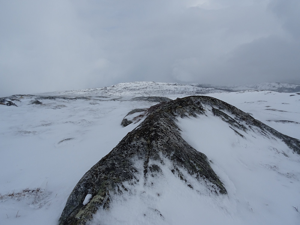 Toppen av Seterlifjellet