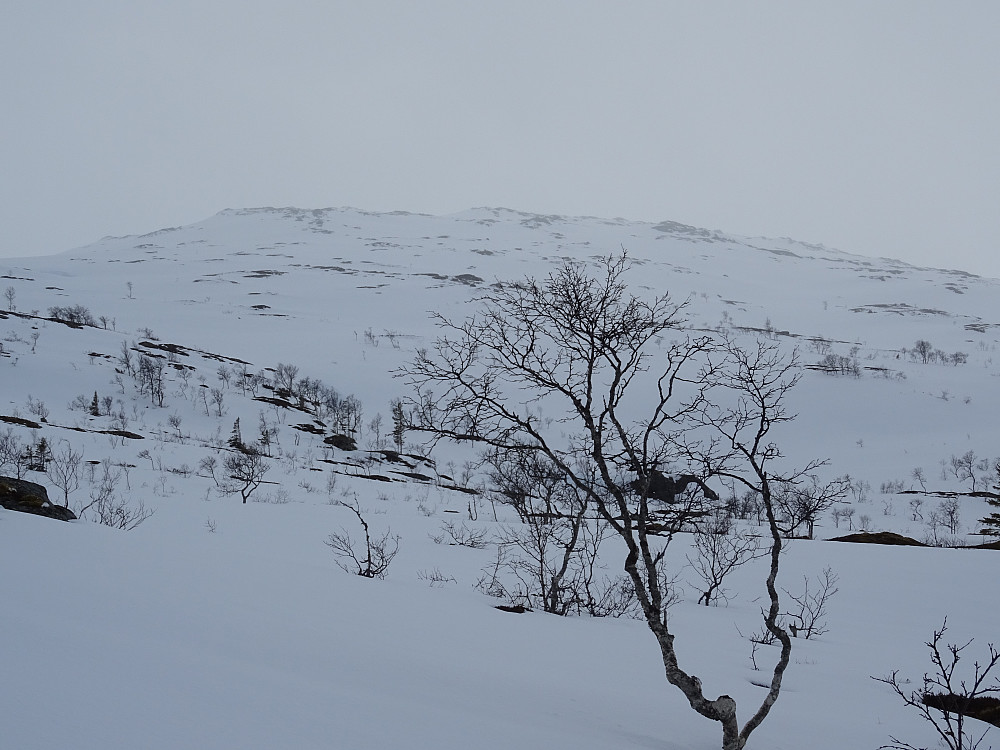 Sola forsvinner mot Seterlifjellet