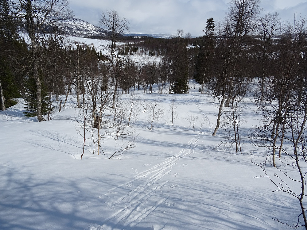 Et lite lag puddersnø