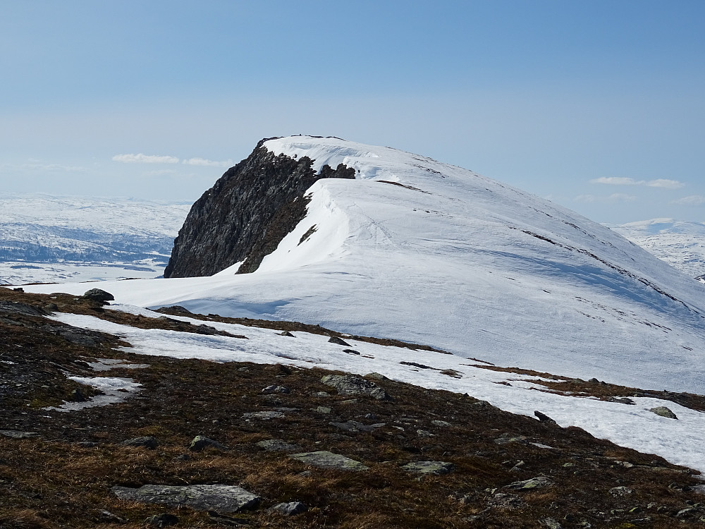 Luretopp før Bielnie