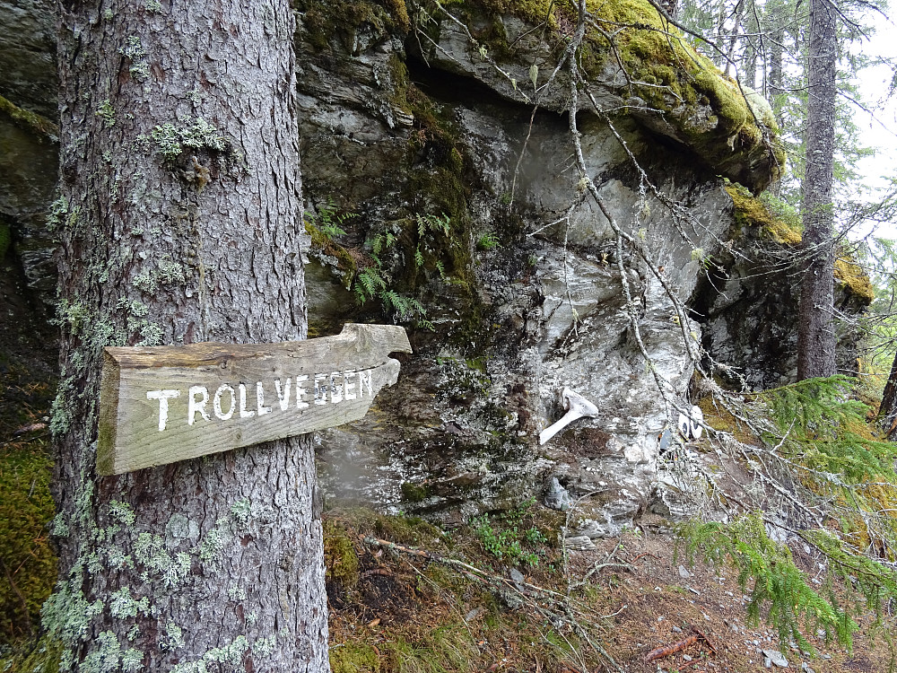 En lokal trollvegg