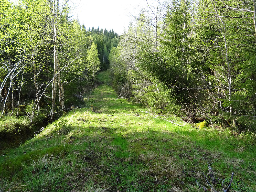 Traktorvei fra Røyklivegen. 
