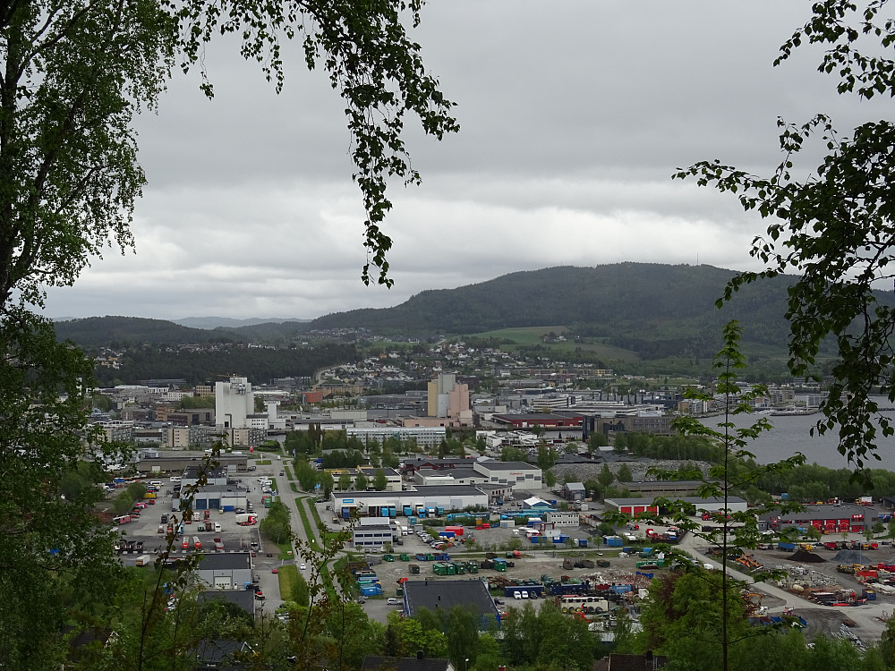 Utsikt mot Steinkjer By