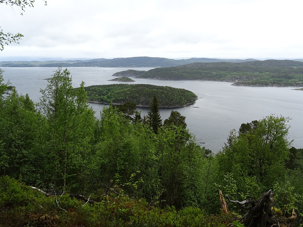 Utsikt mot Saltøya