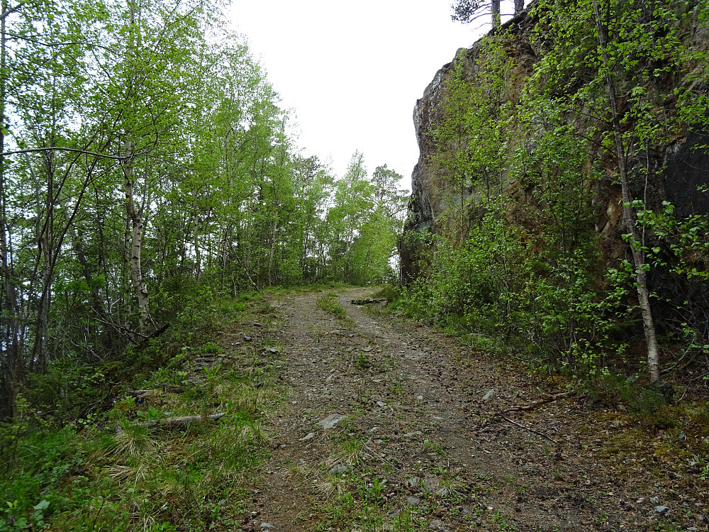 Flott rødmerket traktorvei
