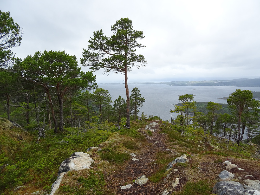 Toppen av Kåppårhåmmåren