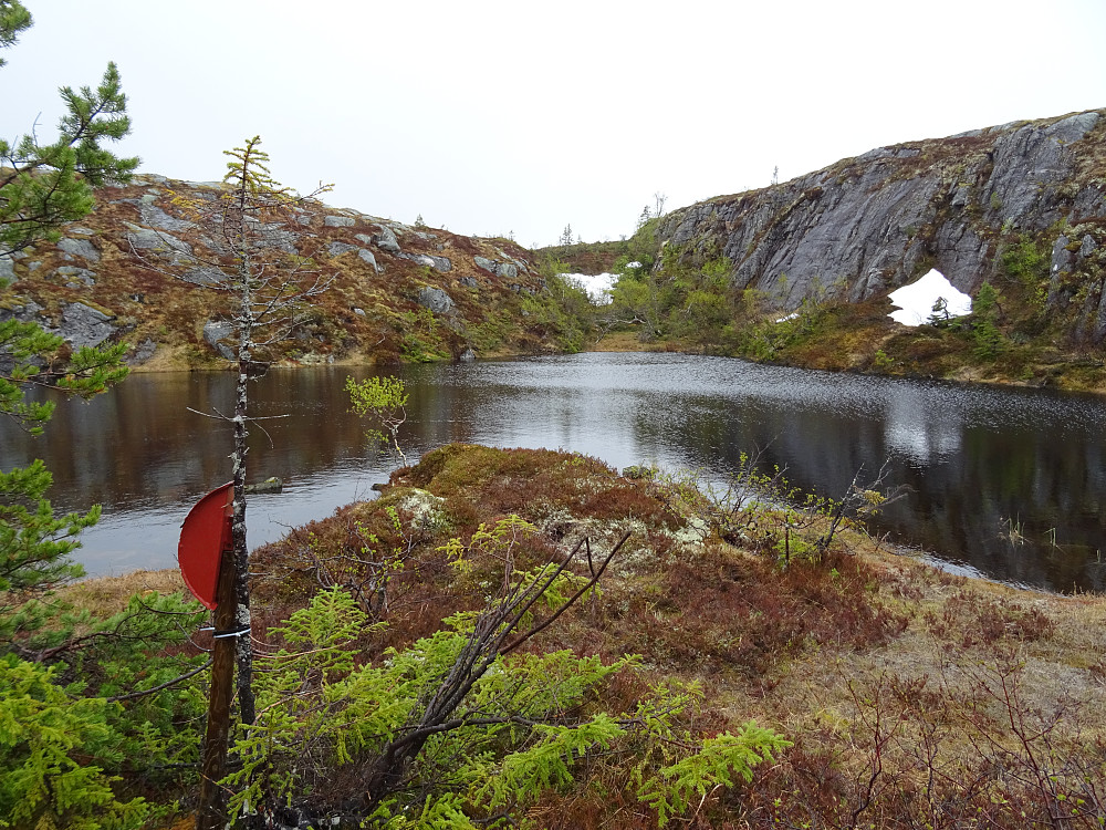Naturperlekassen på Bukkbladtjønna