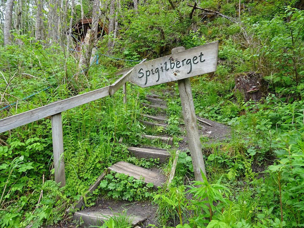 Sti til Spigilen