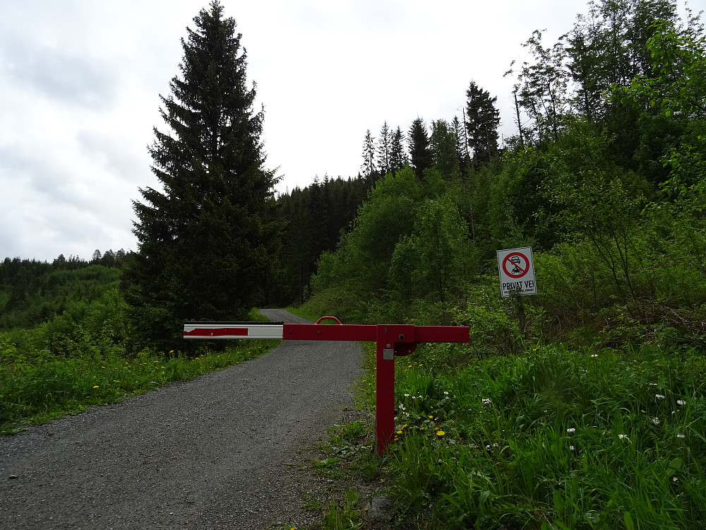 Skogsbilvei mot Øfstivollen