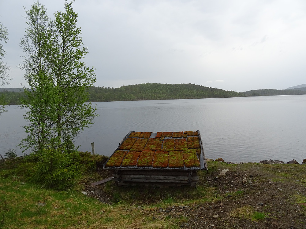 Gapahuk ved Furudalsvatnet