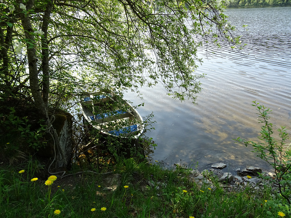 En flott båt ved Skardsjøen