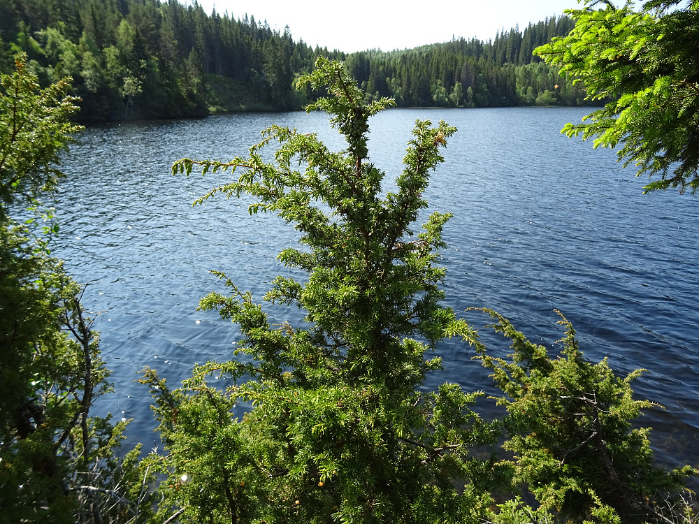 Einer ved Skardsjøen