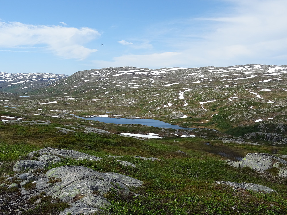 Utsikt fra topp-partiet på Tverrdalsklumpen mot Langtjønna og Blåfjellet (898)