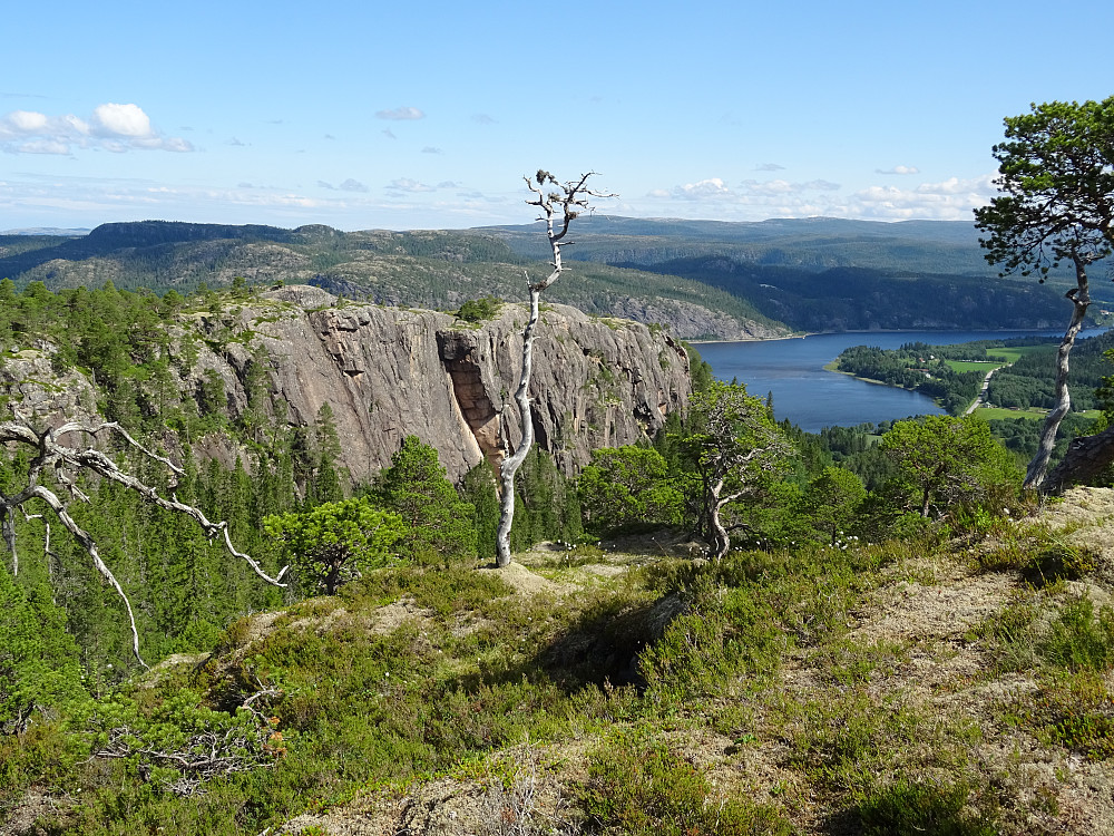 Utsikt mot Namsen og gårdene Hylland/Strand på Sørsivegen