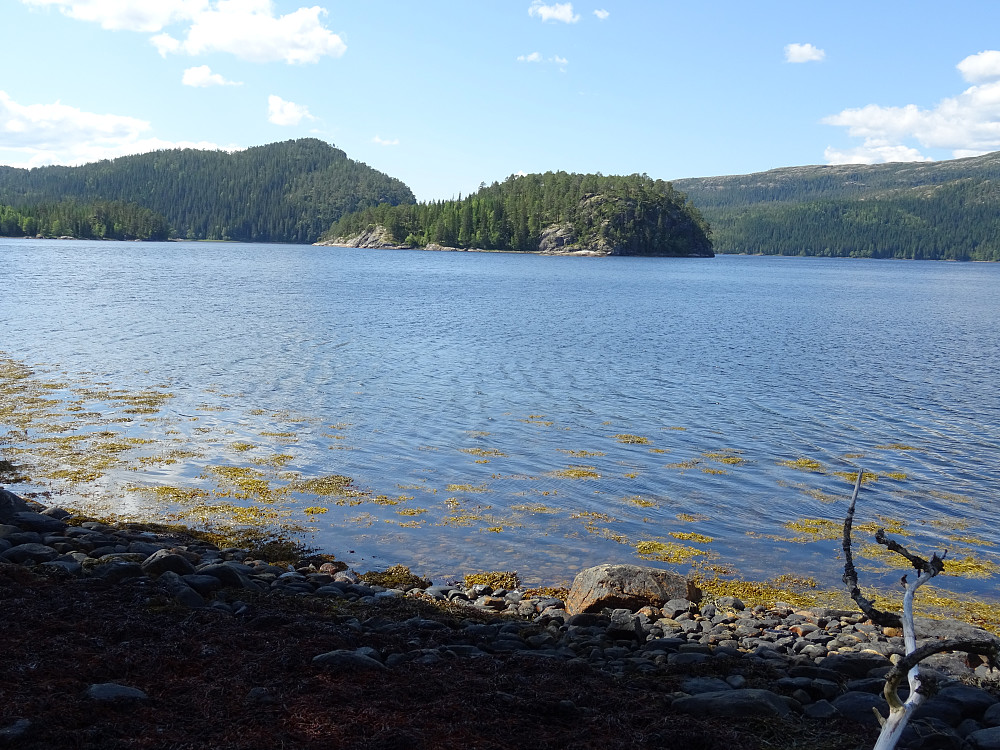 Brannøyan og Buktafjellet