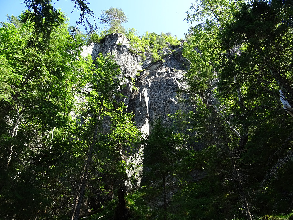Storflauget
