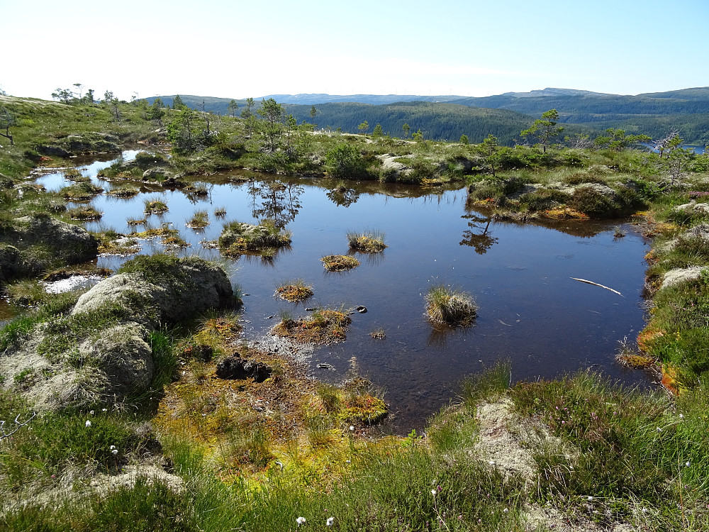 Myrtjønn på Trollfjellet