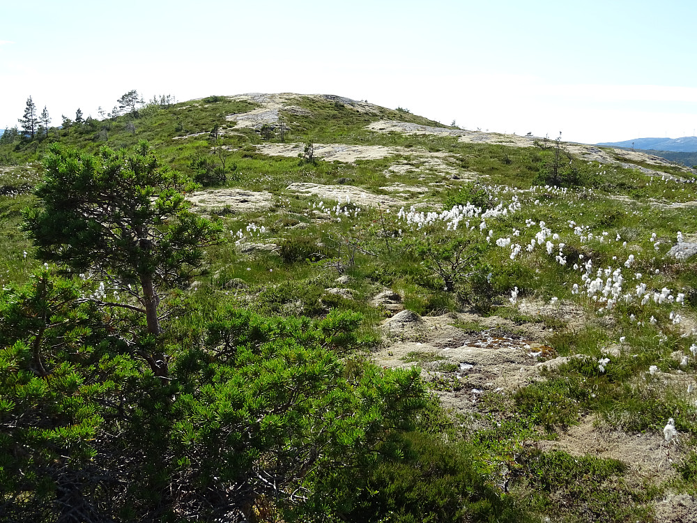 Like før Trollfjellet