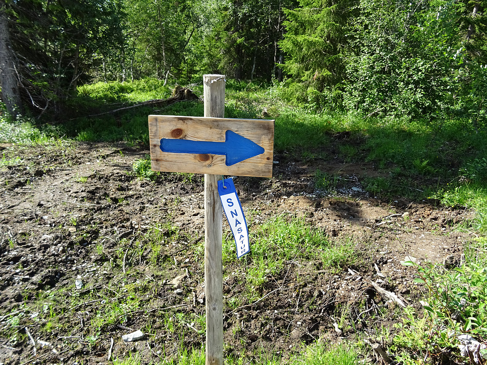 Snåsatur
