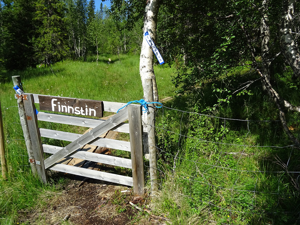 Start på Finnstien