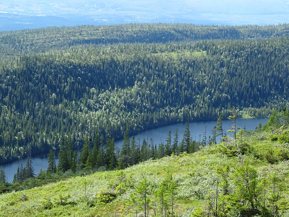 Trollsvatnet