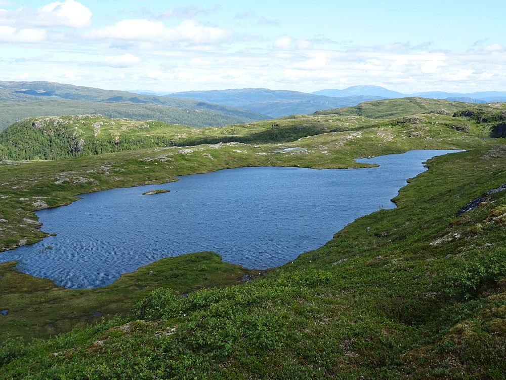 Kvenntjønna