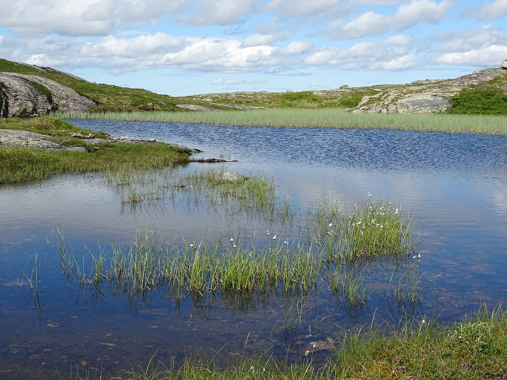 Murbrekkfjellet bak tjønna