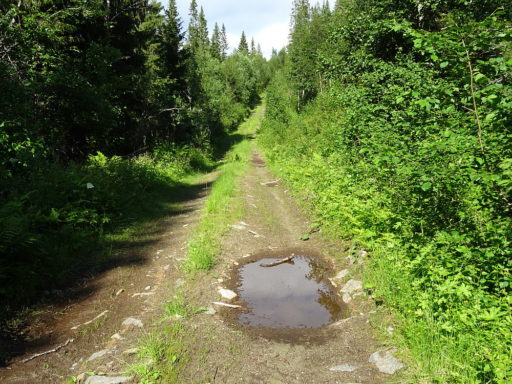 Traktorveien langs Trollsvatnet