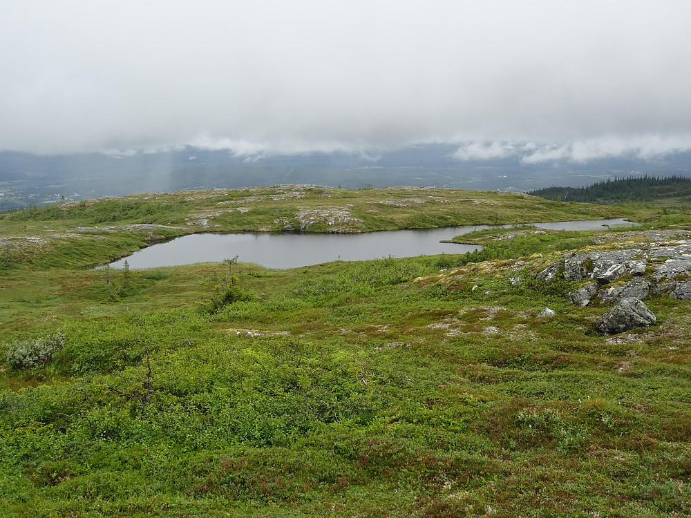 Brokatjønna