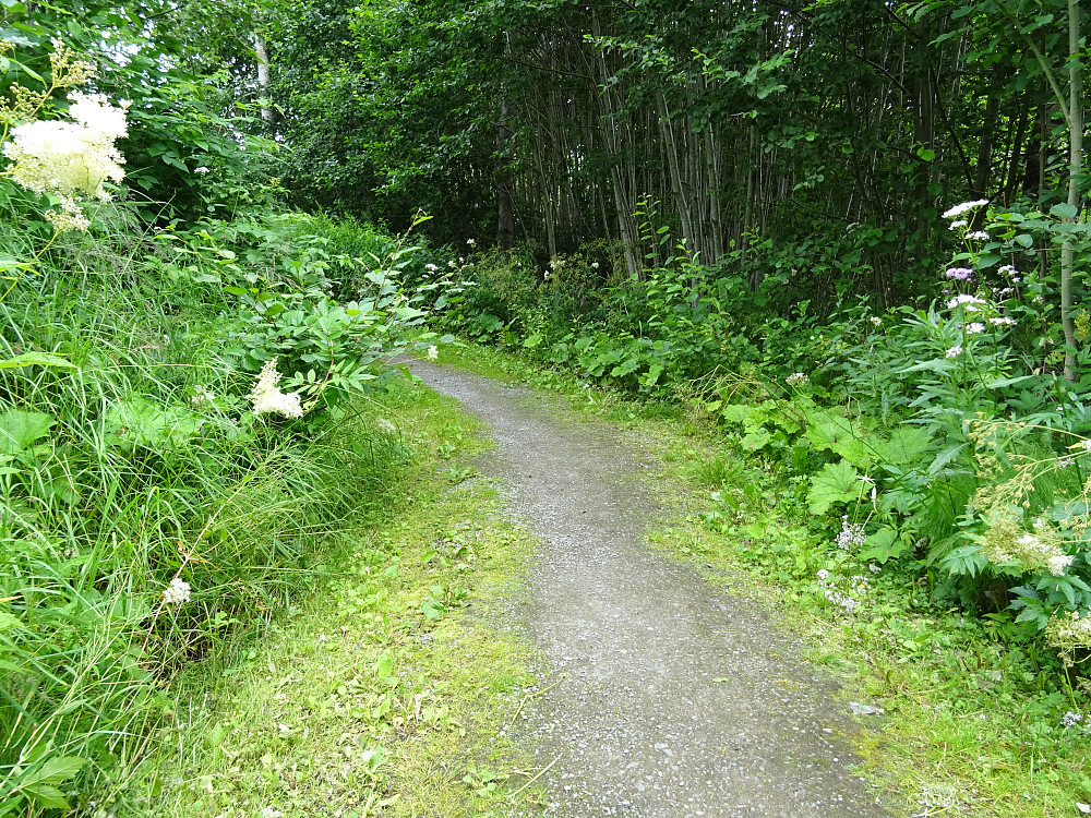 Føllingstien