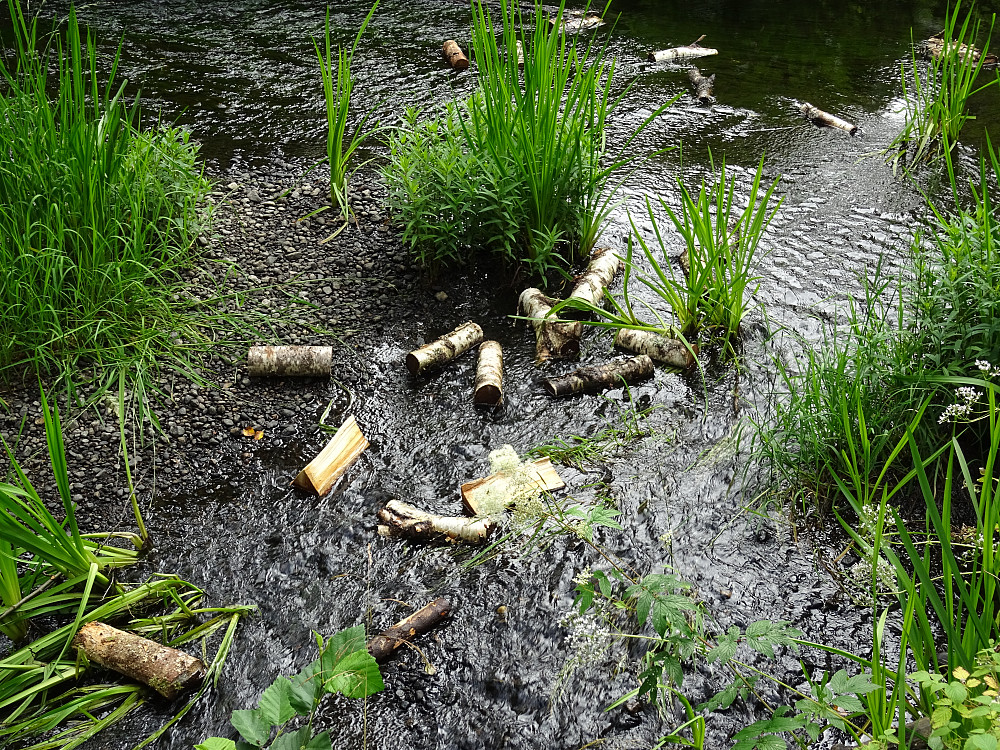 Mye ved var kastet i elva fra grillplassen