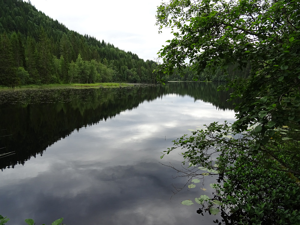 Sundetjønna
