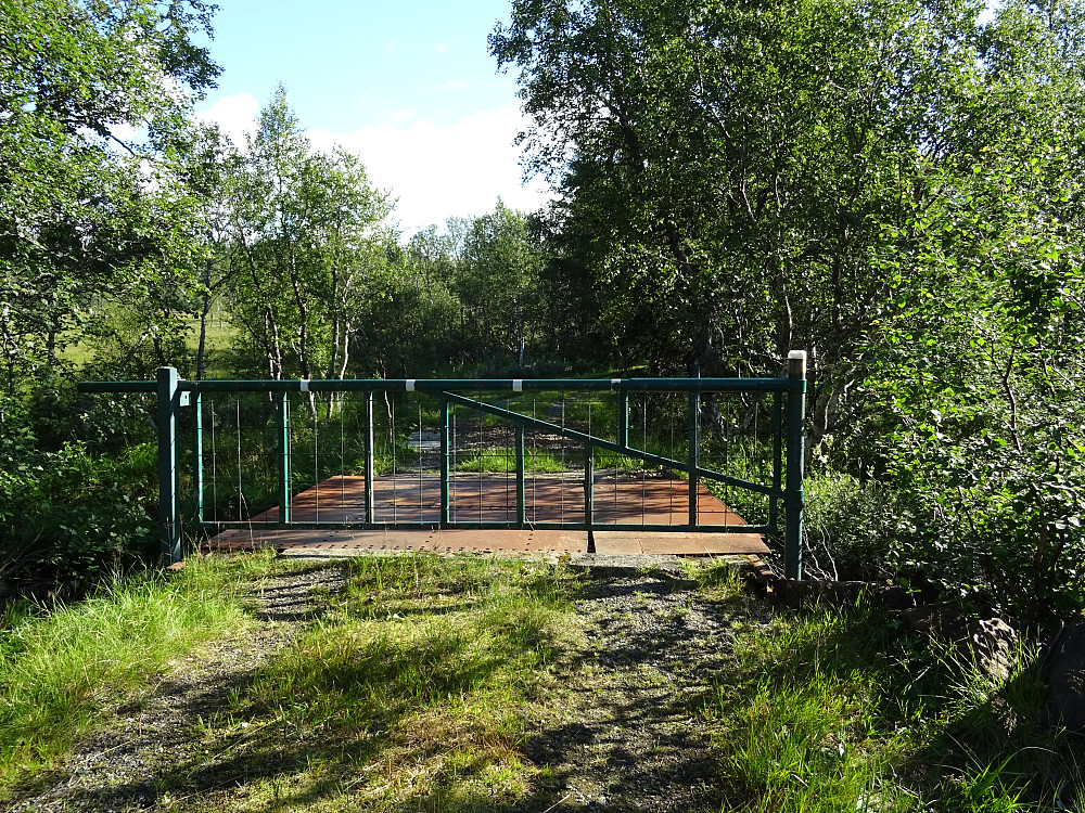 En setervei ved Hoemkjølen