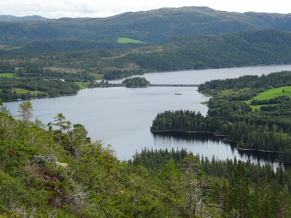 Fyllinga over Selavatnet