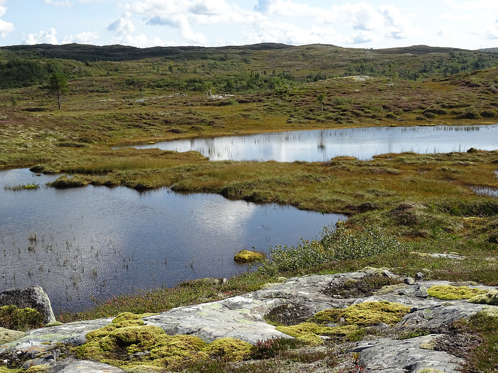 Navnløs tjønn mot Sandafjellet
