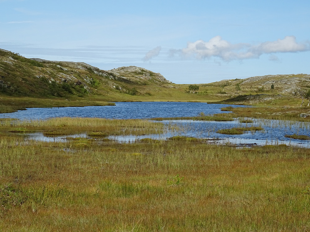 Langdalstjønnin