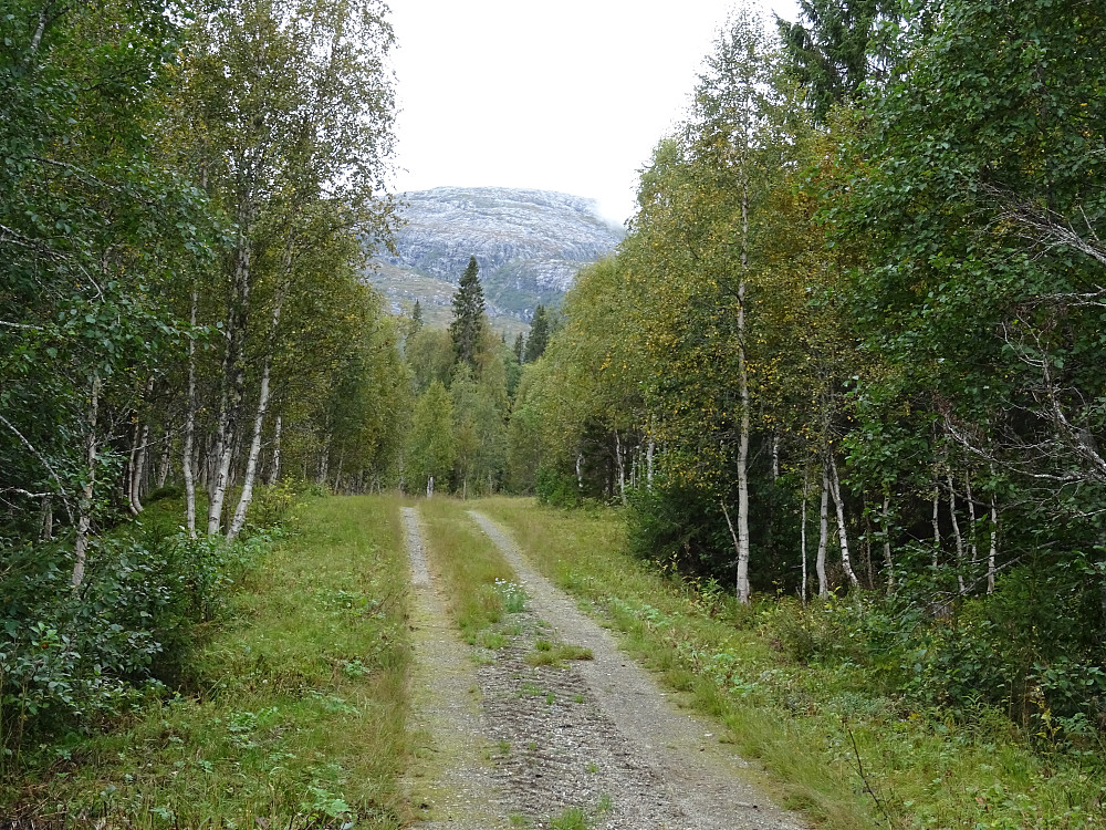 Litlbjørhusdalveien