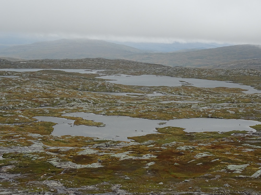 Blåfjelltjønnin (704-701 moh)