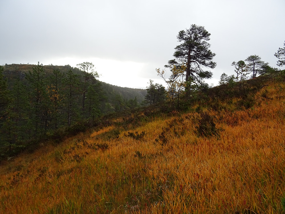 På tur opp mot Sonnofjellet