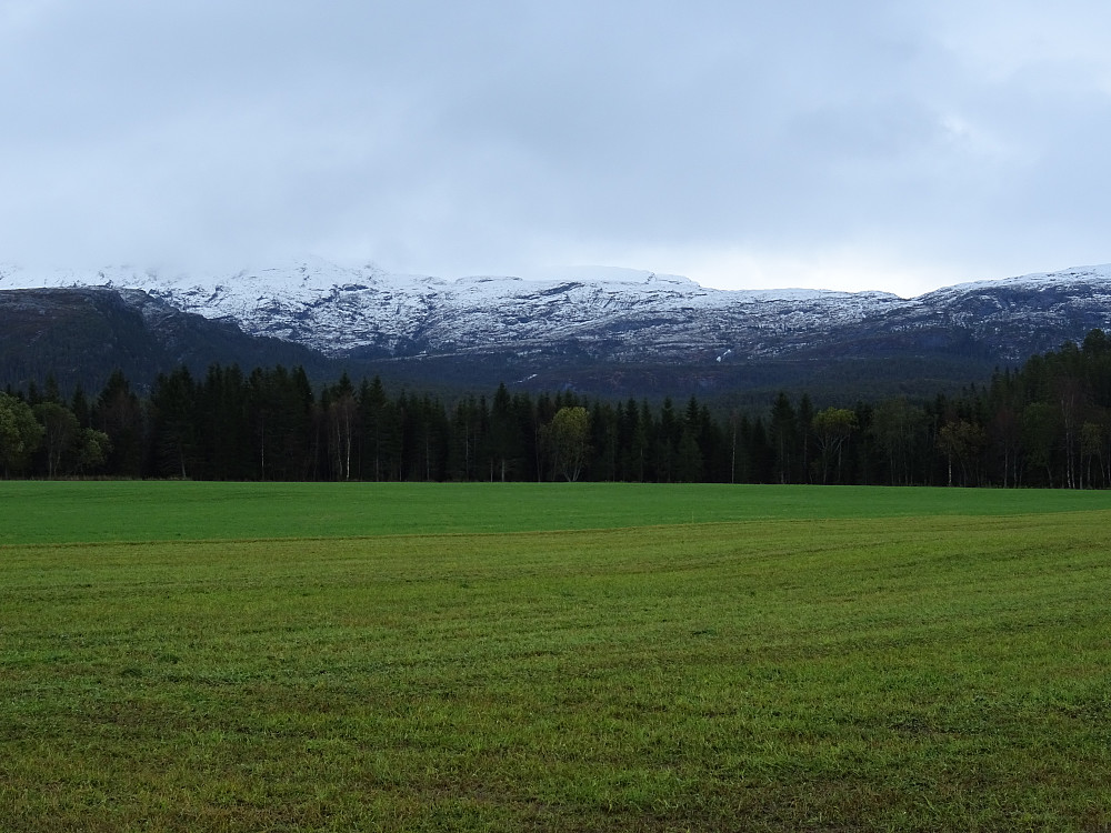 Geitfjellområdet i sør, på andre siden av enga. 