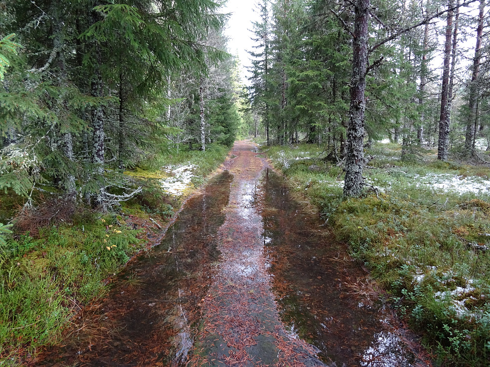 Flotte traktorveier