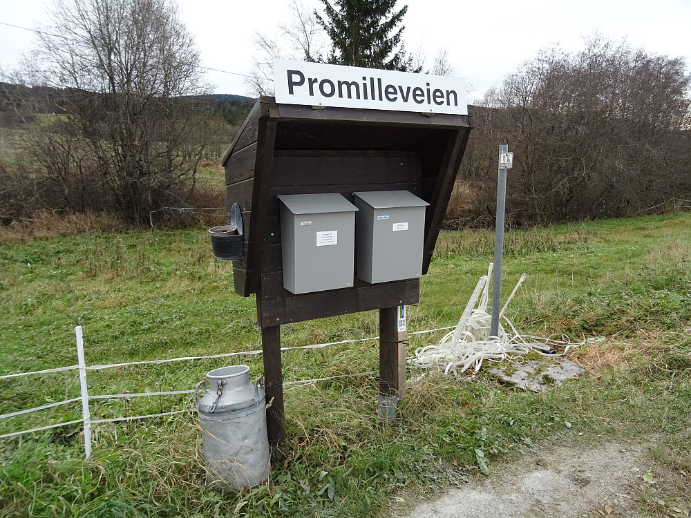 Her er det fritt fram