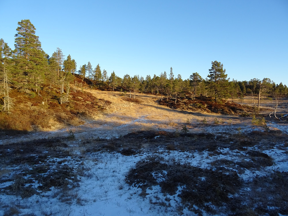 Mot Furuhevillen