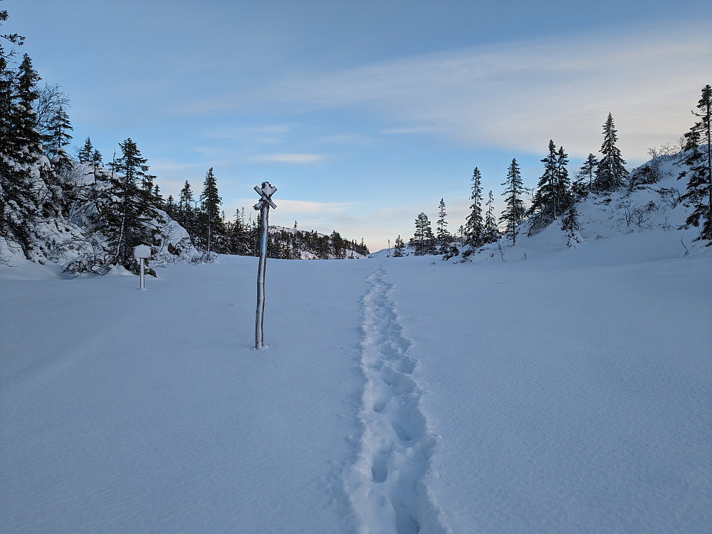 Ingen skispor