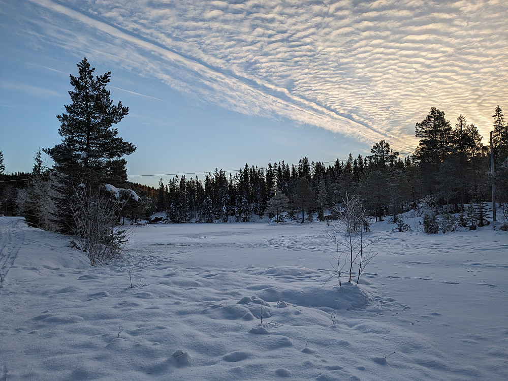 Fisktjønna