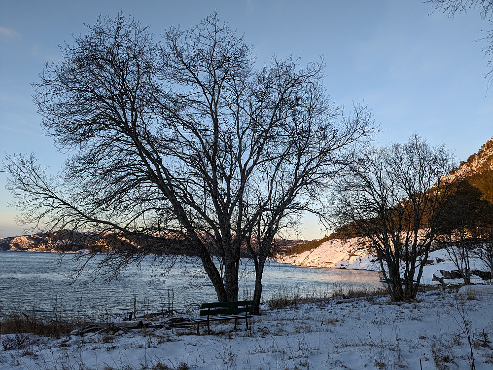 Mærraneset nord