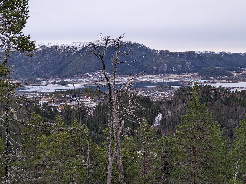 Utsikt mot Namsos og Spillum