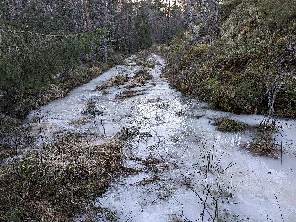 Islagt traktorvei