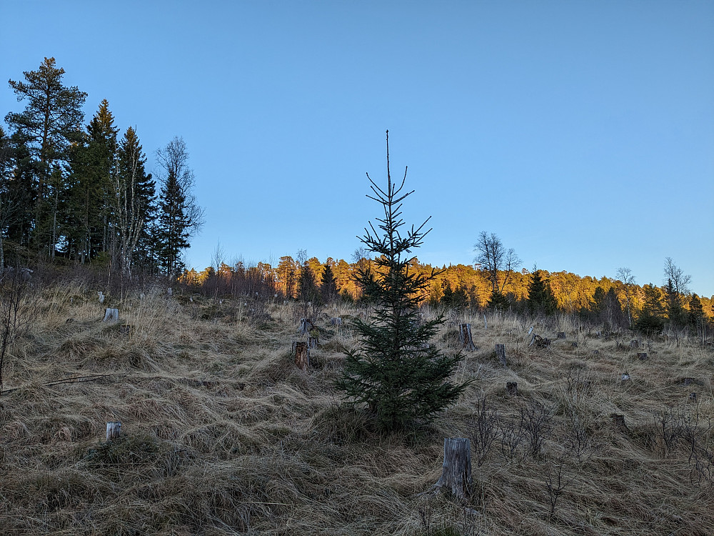 Storfjellet