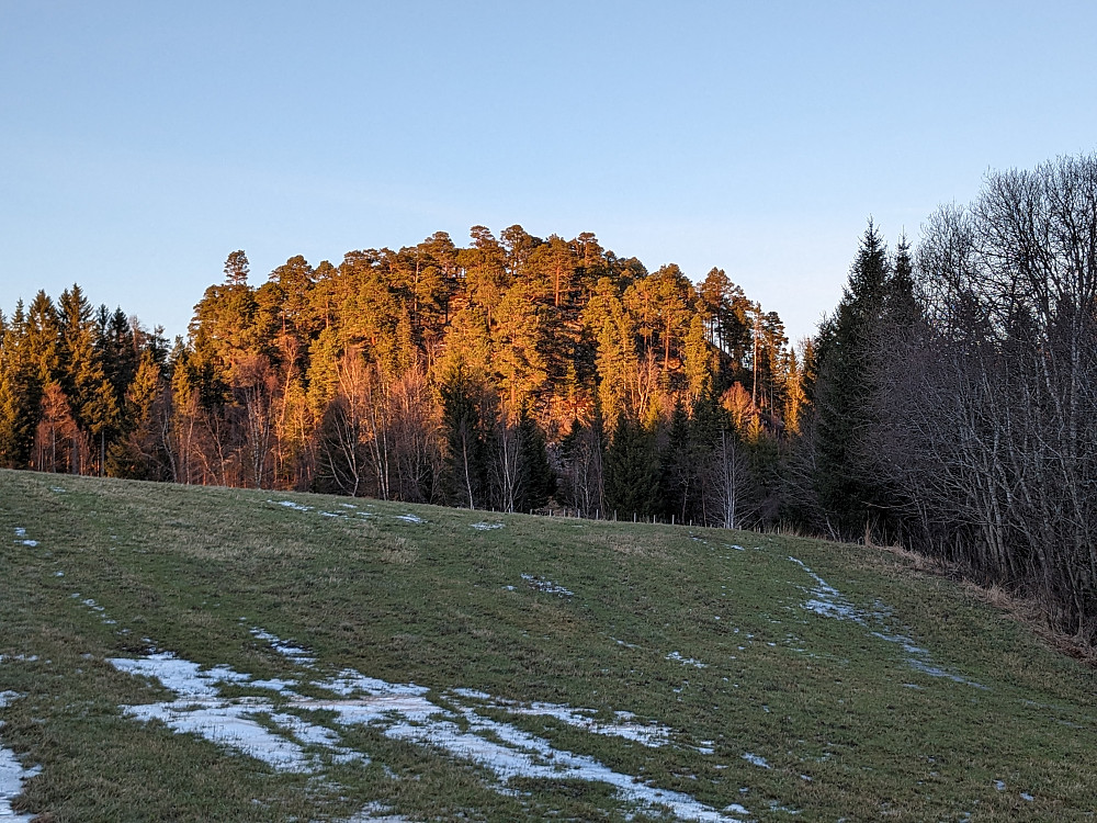 Klokkatolvhaugen